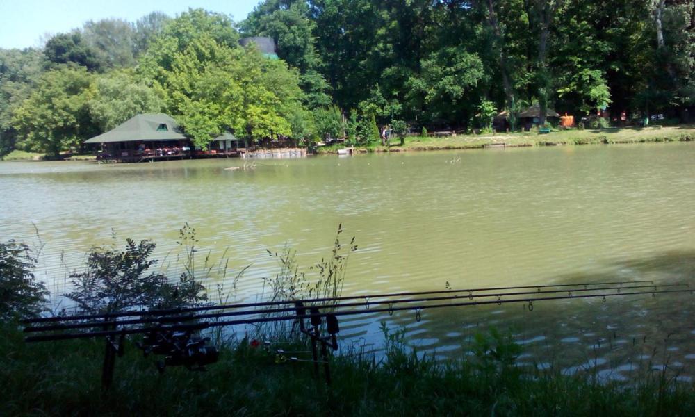 Monia Dream - & Fair Apartment Belgrad